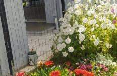 Alykes Volos - Photo 3