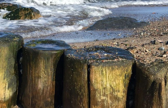 Holiday Home Rugen-dream - Photo 22