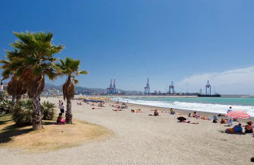 BAHIA DE MALAGA - Photo 41