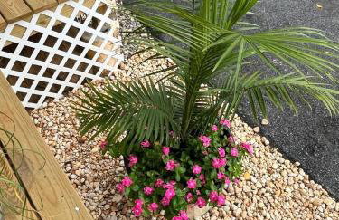 The Rene Carr House - Foto 49