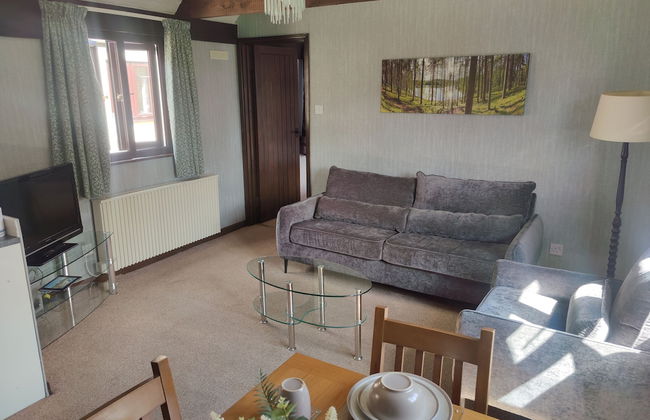 Birds Farm - Foto 27