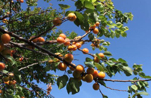 Holiday Home Villa Bobolino - Foto 6