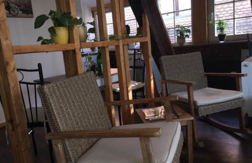 Neckarblick,Natur, Altstadt - Photo 60