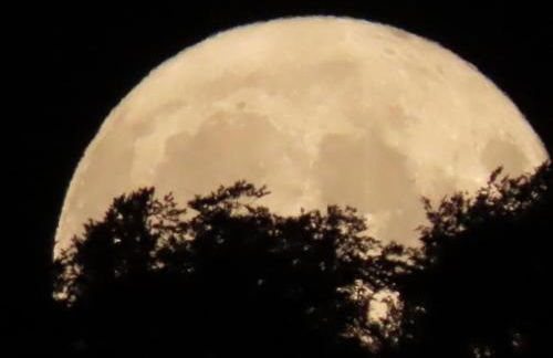 Gîte du Verger - Foto 46