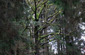 Casa Müller - Foto 28