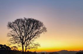 Cabana Terra - Cabanas Recanto do Lago - Photo 31