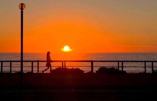 Live Vagueira Beach - Foto 4