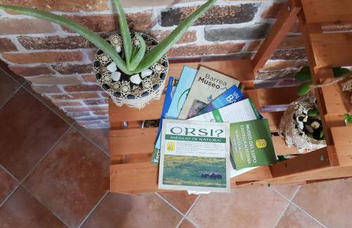 La Tana degli Orsetti - Foto 10