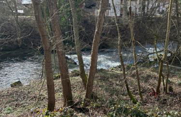 Ferienhaus im Schwarzwald - Foto 20