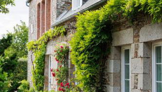 Le Petit Saint-Léonard - Foto 4