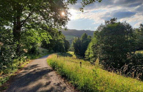 Elpe Apartments Hochsauerland - Foto 28