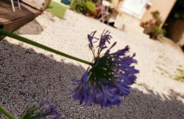 Charmant Studio sur cour à LYON 9e Mont d'or - Foto 20