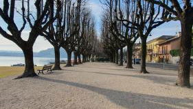 Contrada d'Amore - Foto 2