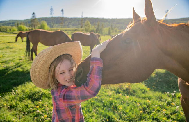 Vista Verde Ranch All-inclusive Cabin - Photo 45