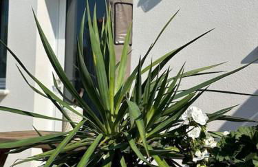 Studio Mer et Soleil avec Terrasse, en centre-ville, parking - Photo 20