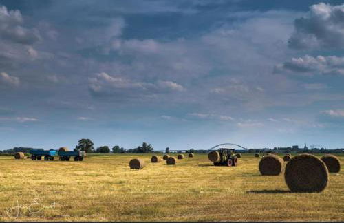 Gnaden- und Ferienhof Saale Wittgenstein in the middle of gar nix - Foto 64