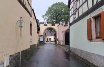 Le Nid Douillet de Bergheim - Foto 29