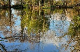 Gîtes du Semeno - Foto 14