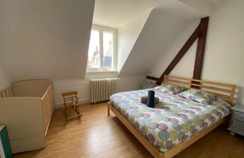 BookingAlsace - Maison Mittelharth Parking Jardin - Foto 35