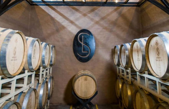 Visita a un viñedo de San Miguel de Allende - Foto 3