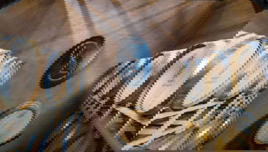 Sala delle botti della cantina