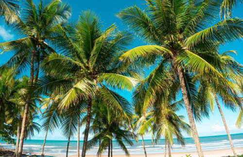 Casa Olly - Maravilha à beira Mar! - Photo 12