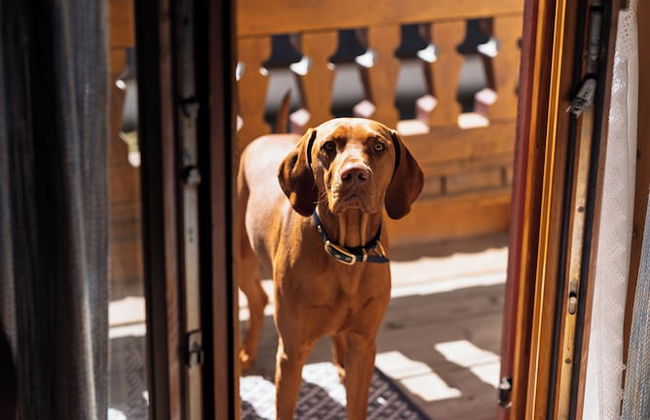 Ferienwohnungen Chiemgau - Foto 33