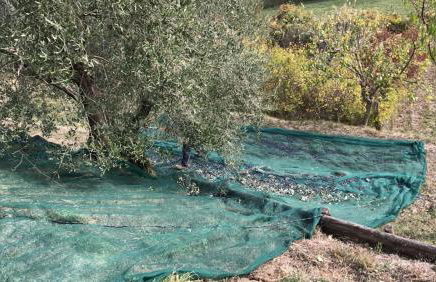 Villa Porsenna - Foto 35