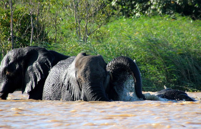 17 Manzini Holiday Resort - Foto 23