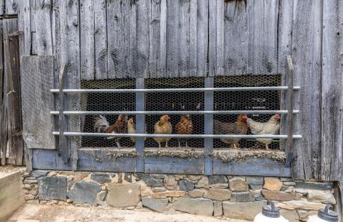 Watch Deer from a Farm Cottage - Foto 40