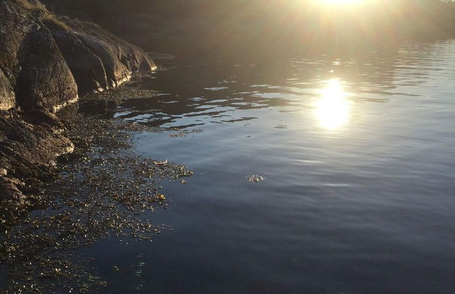 5 Star Holiday Home in Marstrand - Foto 28