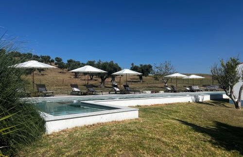 Herdade dos Sepol - Foto 10