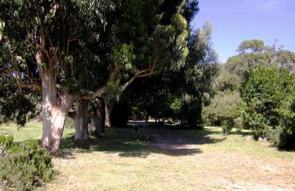 Les jardins de Foata - Foto 31