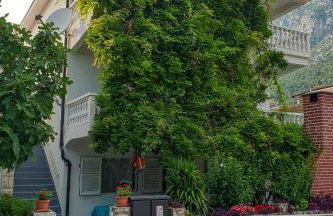 Apartments with parking space Podaca, Makarska - 10439 - Foto 1