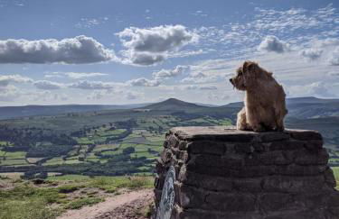 The Bothy at Oak Farm - Foto 33