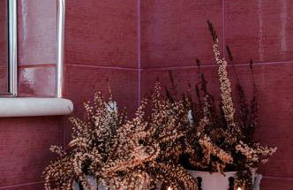 Tsikalario Holiday House - Foto 33