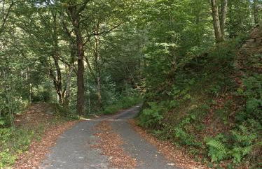 Burgberg Schöllnstein - Foto 32