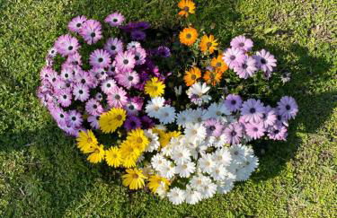 Casa Vacanze Paradise - Photo 26