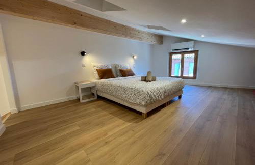 Maison Climatisée Coeur Historique Blagnac - Foto 24