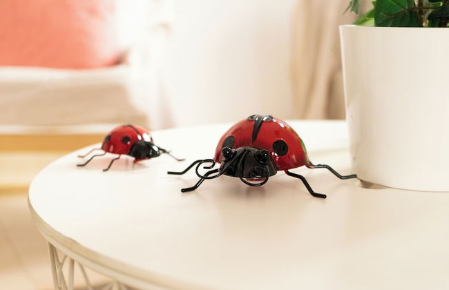 Casa Paca - Your Private Oasis in Lanzarote - Paradise by the Sea - Foto 66