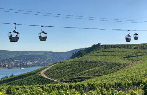 Fewo Zum Malerwinkel - Rüdesheim - Foto 32