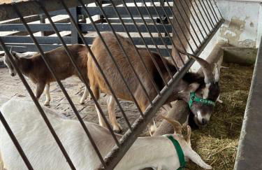 Flat monte castelo condomínio - Foto 6