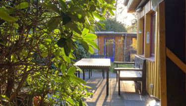 Gelbes Haus bei Mardorf am Steinhuder Meer - Foto 3