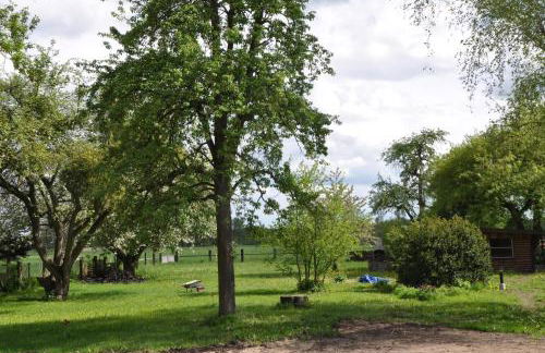 Villa Osterloff - Foto 37