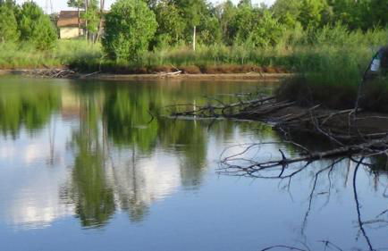 Forest Lake House - Foto 39