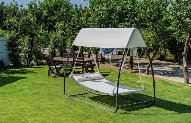 Lemon Factor Sorrento - Photo 72