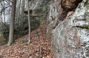Cherokee Cabin-Cave Run Lake and Cliff Views-Red River Gorge - Foto 46