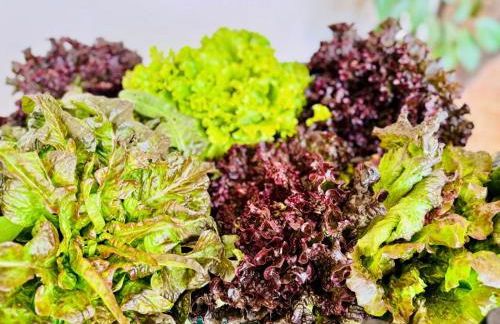 Agriturismo La Terrazza su Farfa - Foto 56