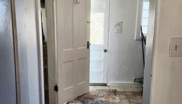 The Owl's nest - Foto 5