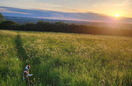 Cosy Cotswolds Getaway - Stow-on-the-Wold - Eagle Cottage - Photo 28